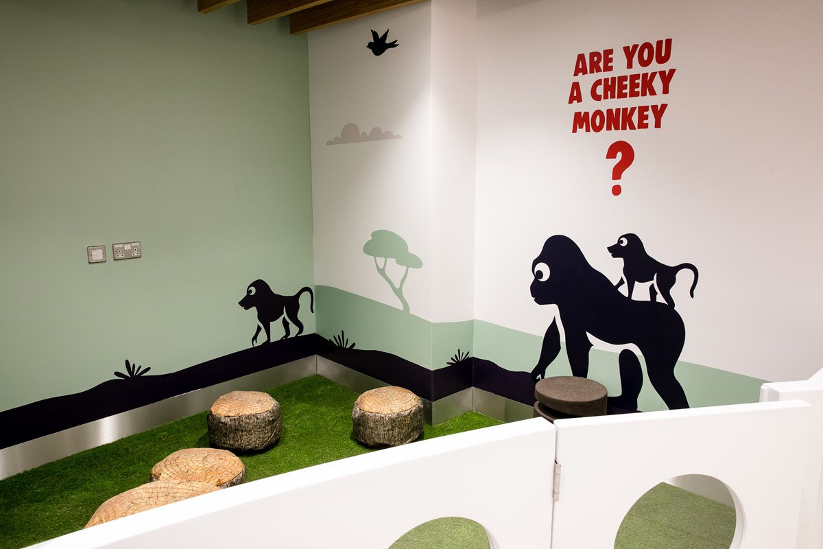 Baby play area