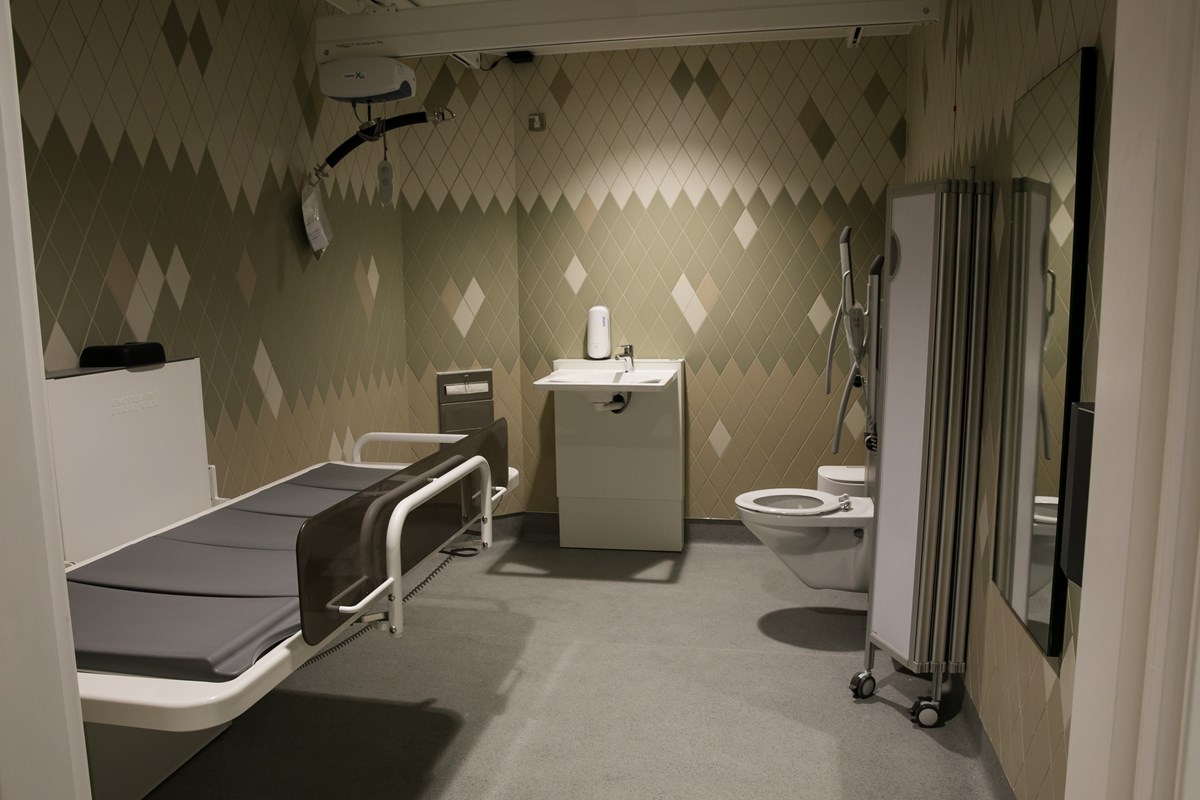 Disabled toilet
